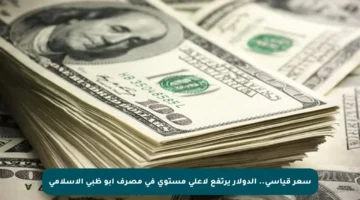 سعر قياسي.. الدولار يرتفع لأعلى مستوى في مصرف أبو ظبي الإسلامي